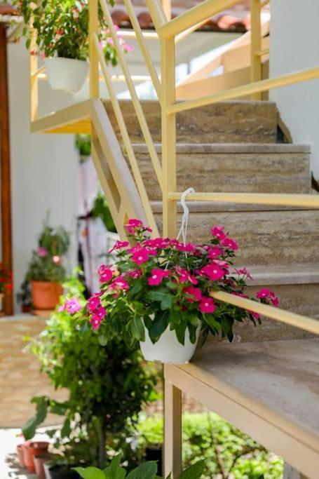 Cereni Guesthouse Berati Exterior foto